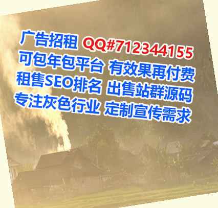 海兴试管集成电路公司